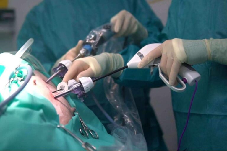 Hospital Privet ofrece excelencia en la esterilización por laparoscopia para mascotas