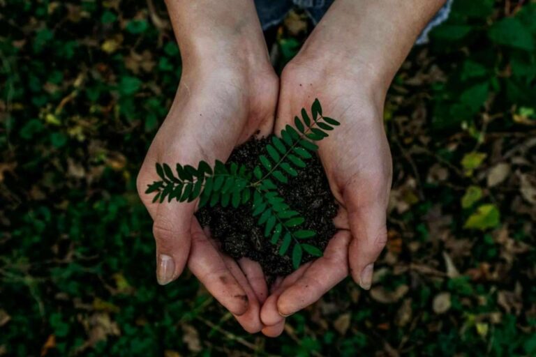 Las opiniones de Lyconet y MyWorld mejoran por su compromiso con el medioambiente