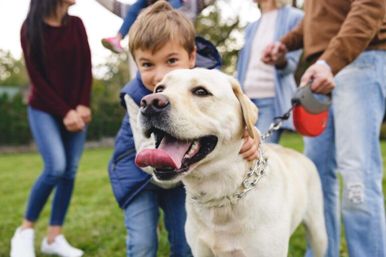 Aspectos que cubre el seguro veterinario de Barkibu
