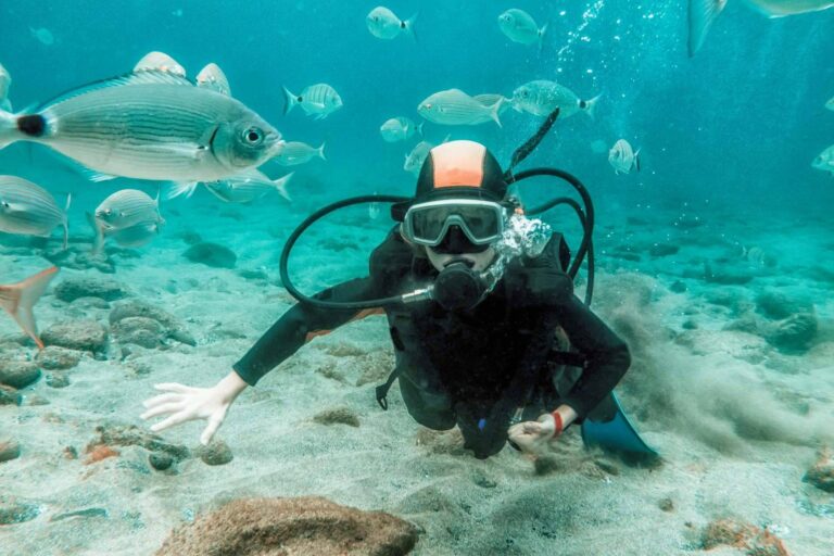 ¿Por qué el buceo en Koh Tao se ha convertido en una tendencia?, por Nitro Koh Tao