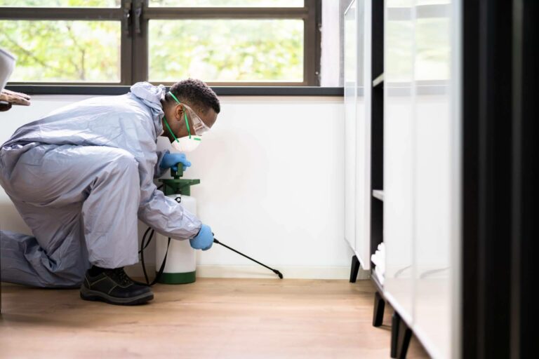 La importancia de la fumigación de cucarachas y la eliminación de hormigas