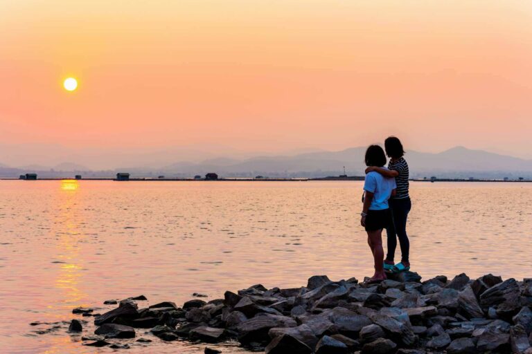 Paseos en barca por la Albufera para descubrir el lugar, de la mano de Albumar