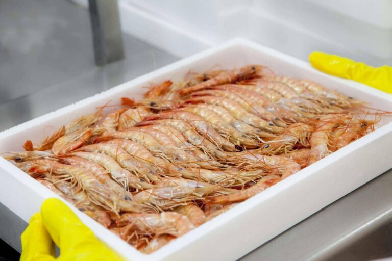 Pescado de calidad y marisco congelado, importado de la mano de Mariscos Apolo
