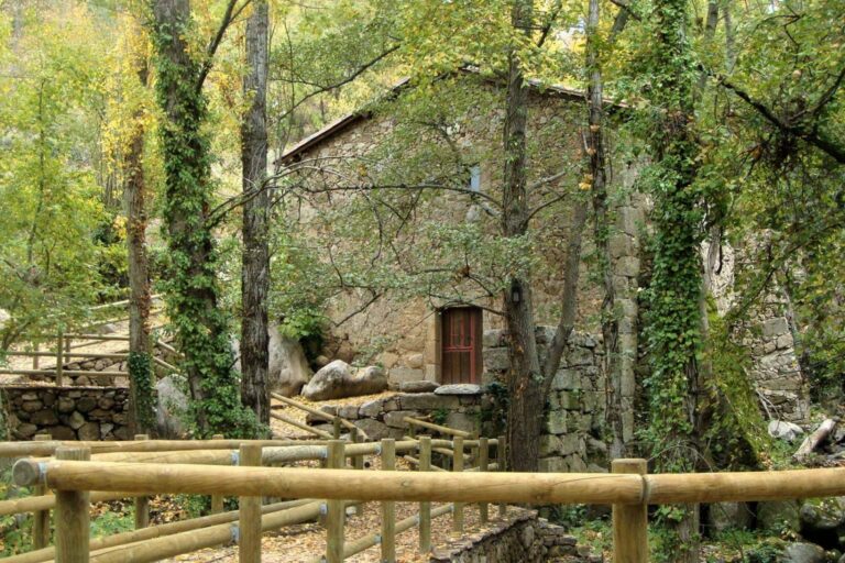 Los Baños de Montemayor son un destino para disfrutar de aguas termales, paisajes naturales y buena gastronomía