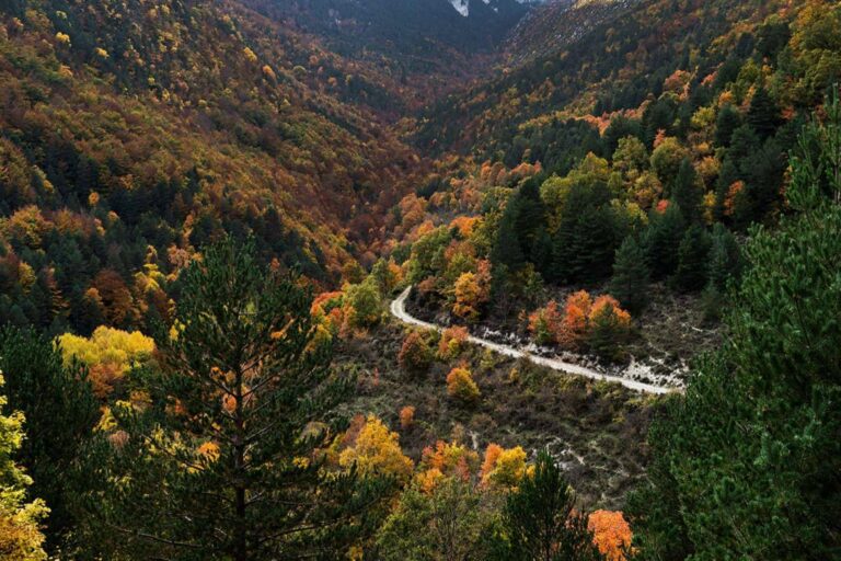 Otoño en el Camping Repòs del Pedraforca