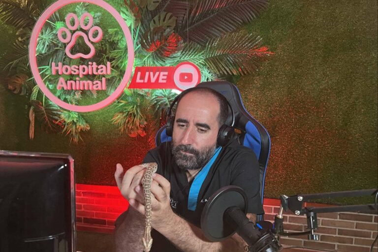La serie Hospital Animal se puede ver todas las semanas por TeleMadrid