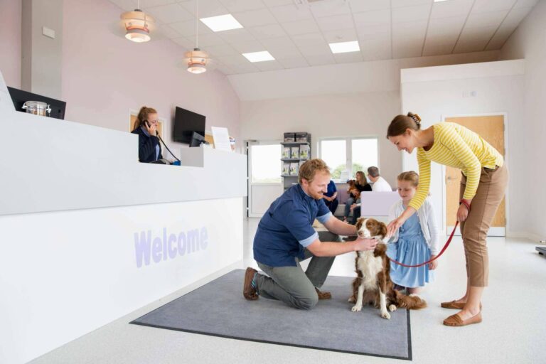 Los seguros de mascotas de Barkibu para perros y gatos