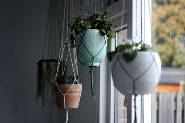 Ideas creativas para decorar con macetas