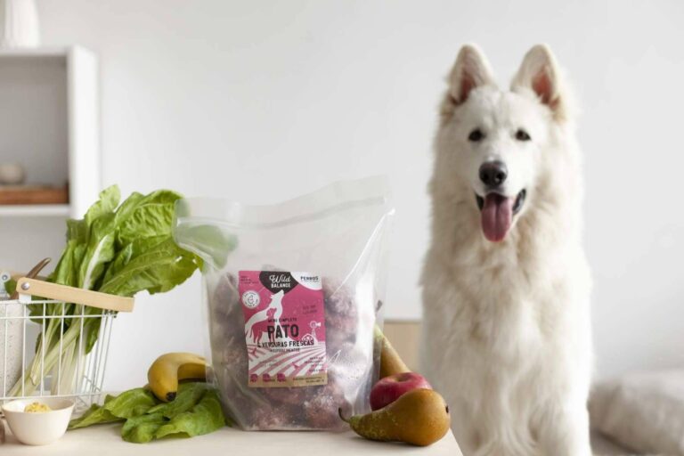 Wild Balance, la startup española que acaba de aterrizar en Dubái con su apuesta por la alimentación natural para mascotas