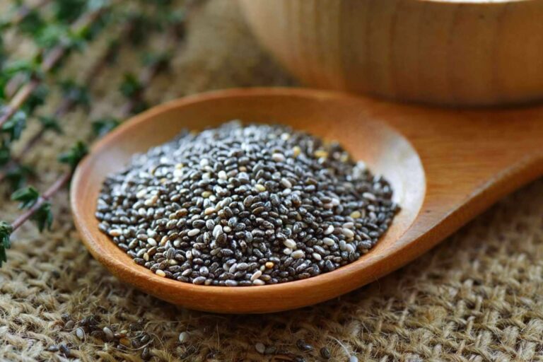 Fayle Seeds, venta online de chía a profesionales