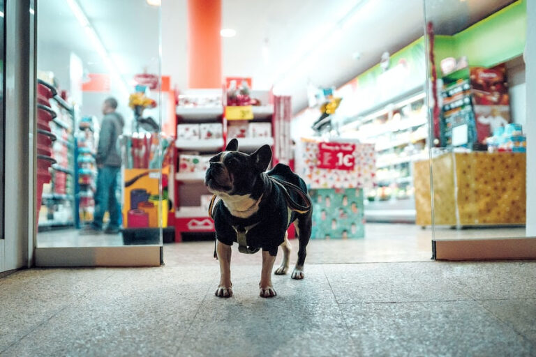 ¿Qué podemos encontrar en una tienda de mascotas?