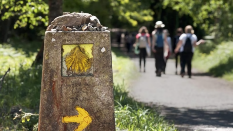 Camino de Santiago desde Sarria
