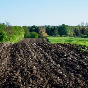 Cultivador es un popular equipo de paisajismo