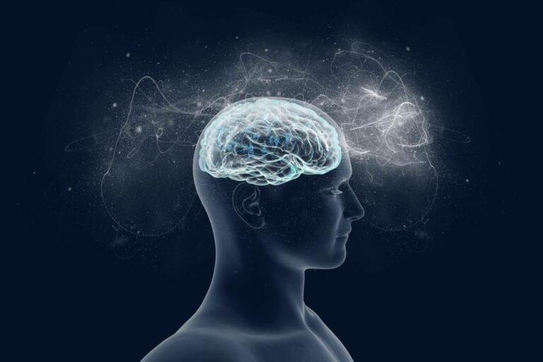 INIMA Rehabilitación enseña la importancia de la estimulación cognitiva