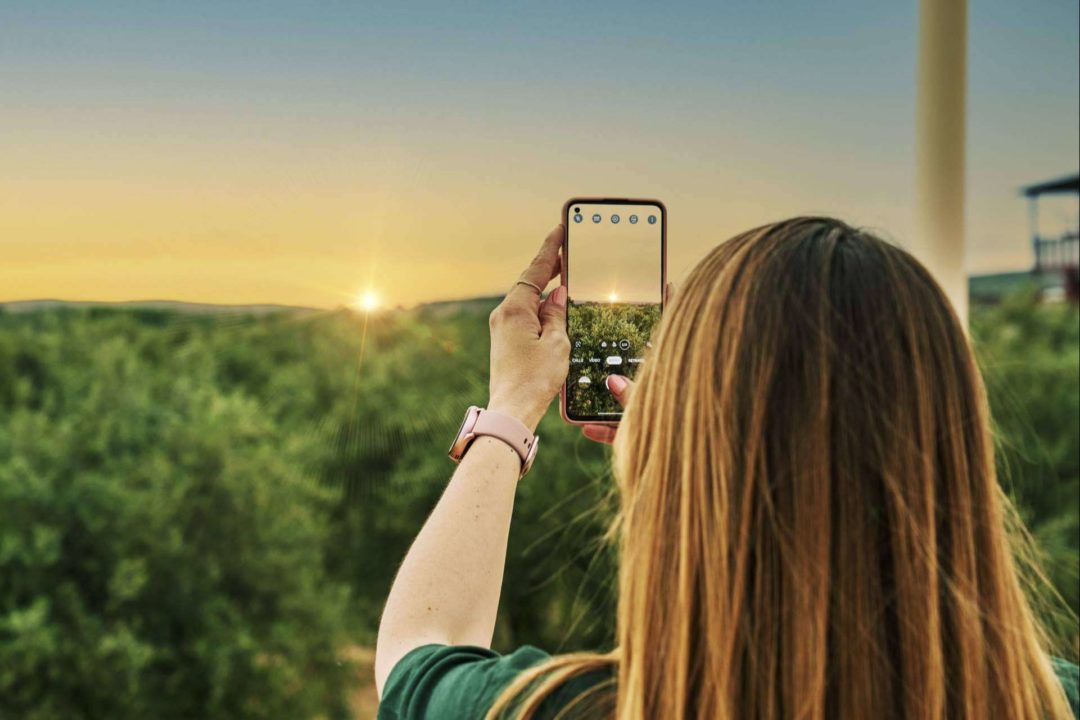 Aires de Jaén y la experiencia de oleoturismo que ofrecen