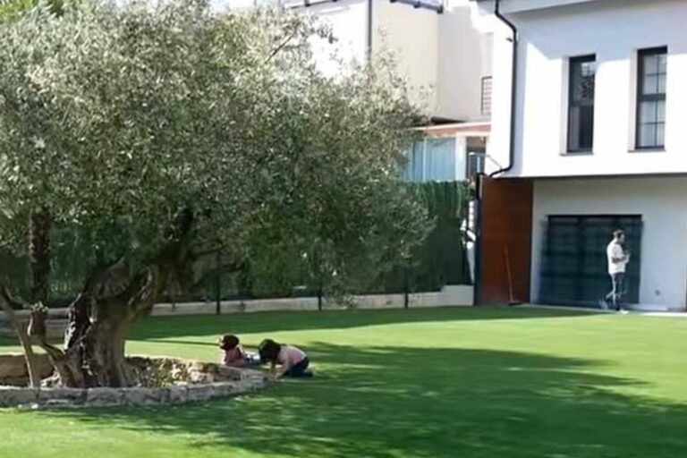 Los productores y fabricantes de césped artificial de Albergrass