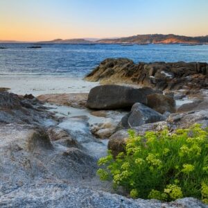 5 excursiones que hacer en las Rías Baixas