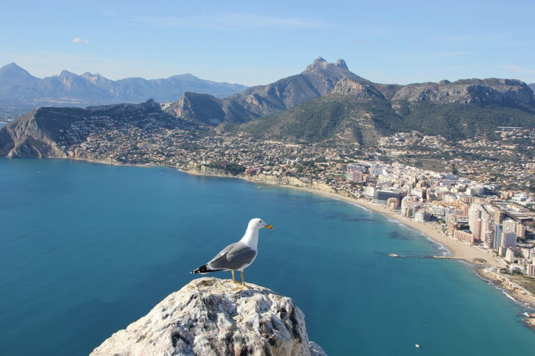 El sector inmobiliario en la Costa Blanca