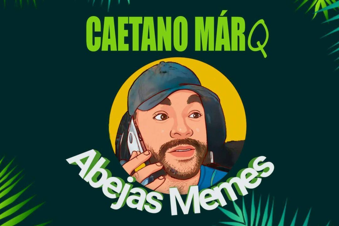 El éxito de Abejas Memes