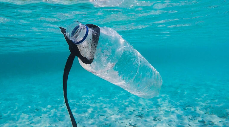 Útiles de limpieza ecológicos: hechos con plástico marino reciclado