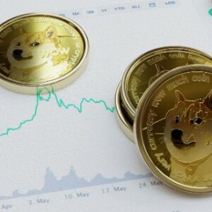 El futuro de Dogecoin y las criptomonedas: ¿un mercado relevante?