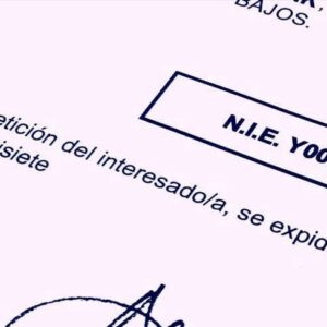 ¿Qué es la asignación del NIE?