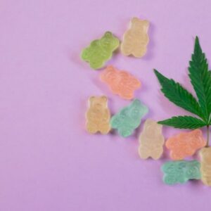 Importancia de una buena semilla de marihuana para los cultivos