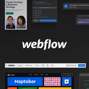 Cuánto cuesta Webflow