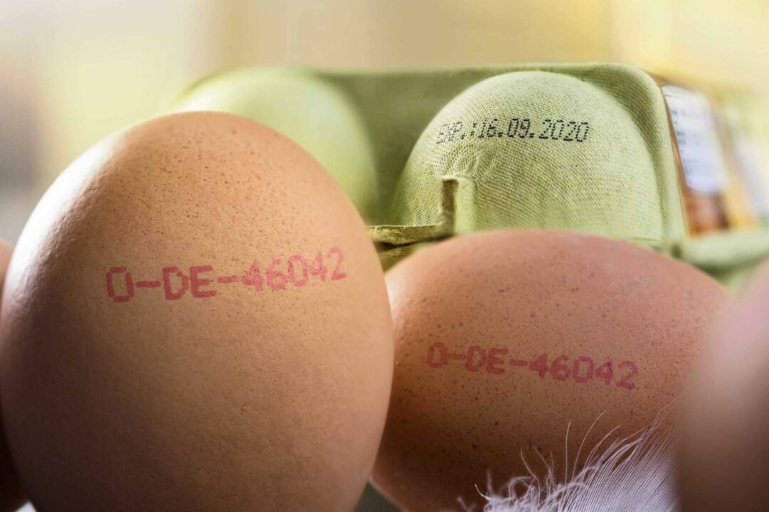 Codificación de los productos que se venden en el supermercado, de la mano de Trébol Group