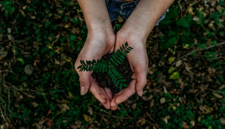 ¿Por qué es importante la economía circular?, la tecnología de Calpech que transforma residuos en nanopartículas de hierro