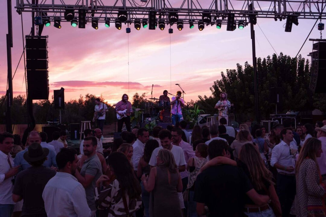 El festival de Jaén para celebrar la cultura del aceite, III Tardeo entre Olivos