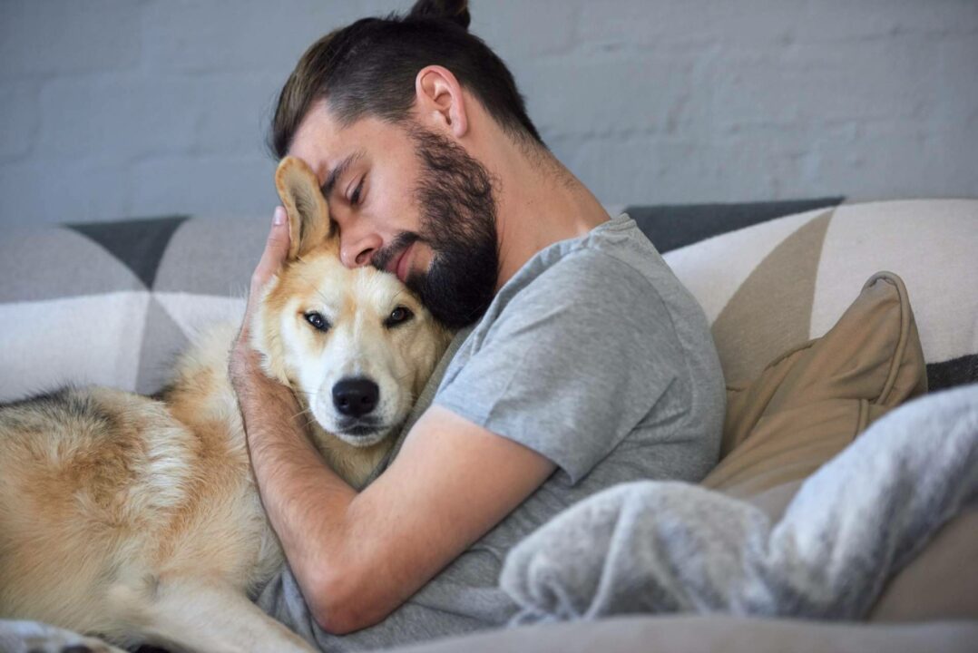 ¿Dónde encontrar expertos en nutrición animal? Era Pet Food