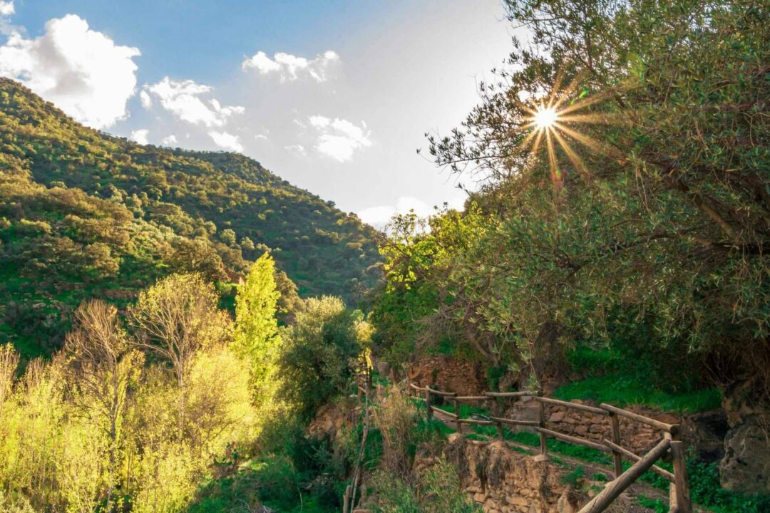 Turismo rural en el Valle del Almanzora (Almería), una experiencia llena de cultura y naturaleza