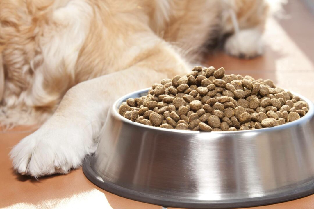 Era Pet Food ofrece pienso para perros adultos; una nutrición sobresaliente para el compañero peludo