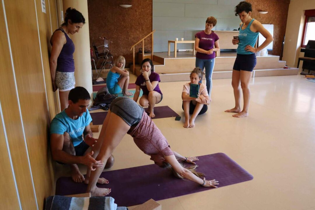 El yoga como aliado terapéutico en la salud mental; Ciencia y yoga en acción