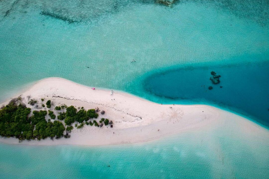 Tener la posibilidad de disfrutar de la isla de buceo Rasdhoo con Drop Dive Maldives