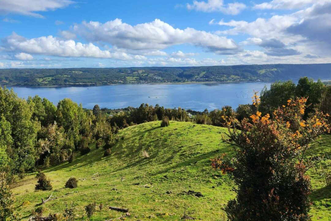 Azul Canelo es un proyecto de Latitudes Australes que permite invertir en una parcela y descubrir la belleza de Chiloé