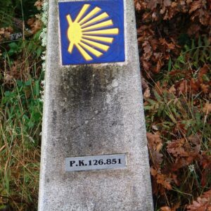 Descubre la magia del Camino de Santiago