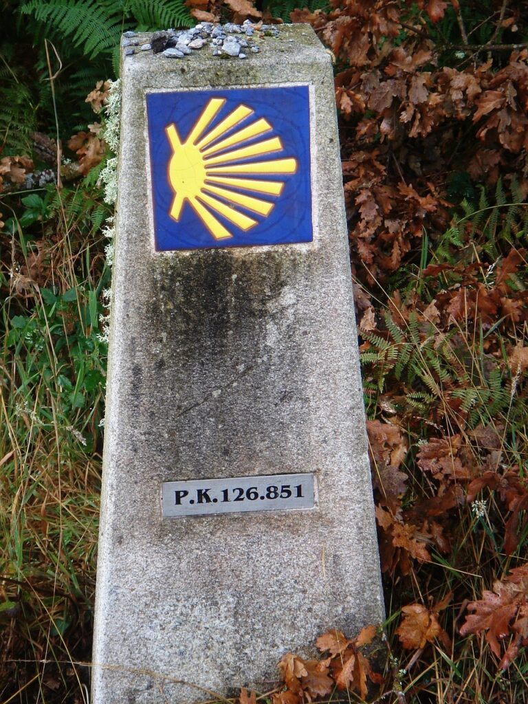 Descubre la magia del Camino de Santiago