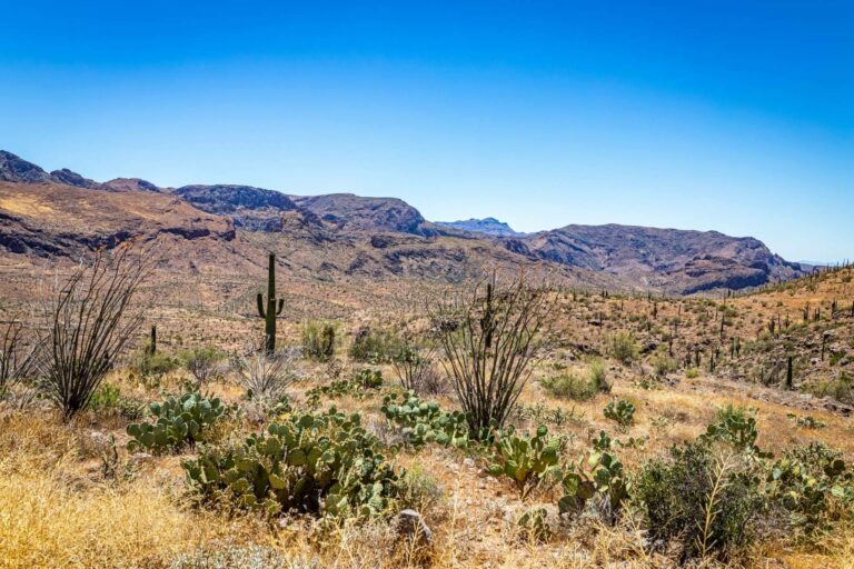 Demos Lab Rural, el proyecto de transición ecológica para mejorar la calidad de vida y fortalecer la economía local
