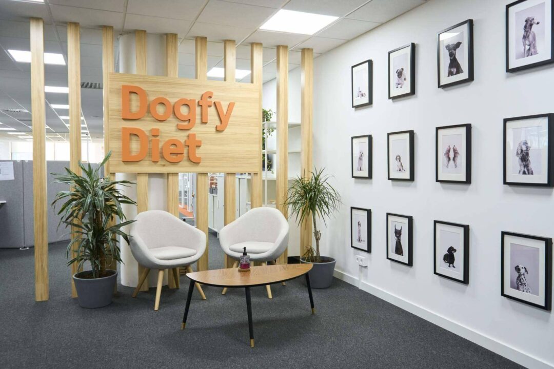 Dogfy Diet, comida casera para perros que aporta múltiples beneficios nutricionales