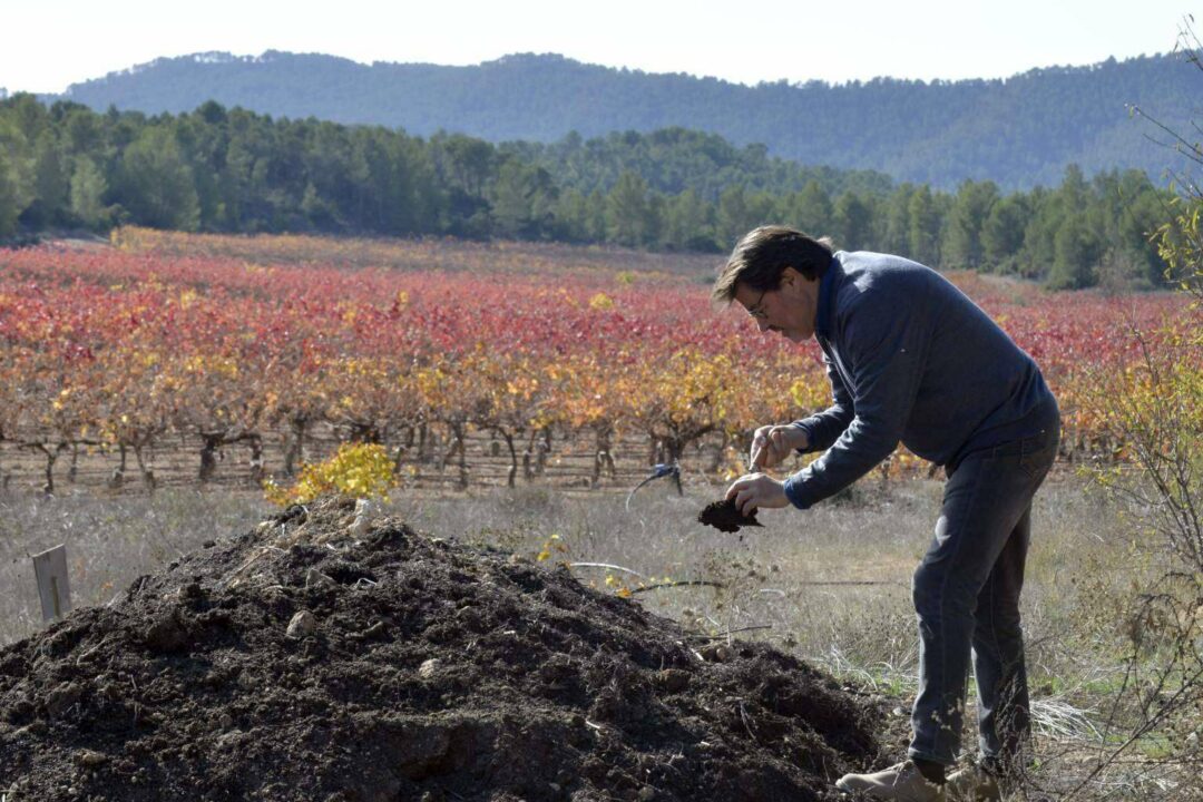 Bodegas Vegalfaro, un reflejo del terruño valenciano a través de vinos ecológicos