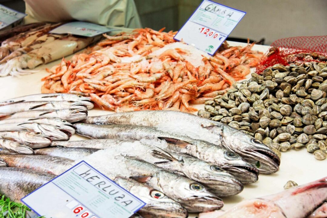 Productos del mar frescos y de alta calidad con Pescadería Younes Ceuta