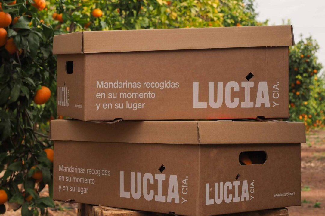 La fruta ideal para atletas; aguacates, mandarinas y naranjas directos del huerto en 24 horas