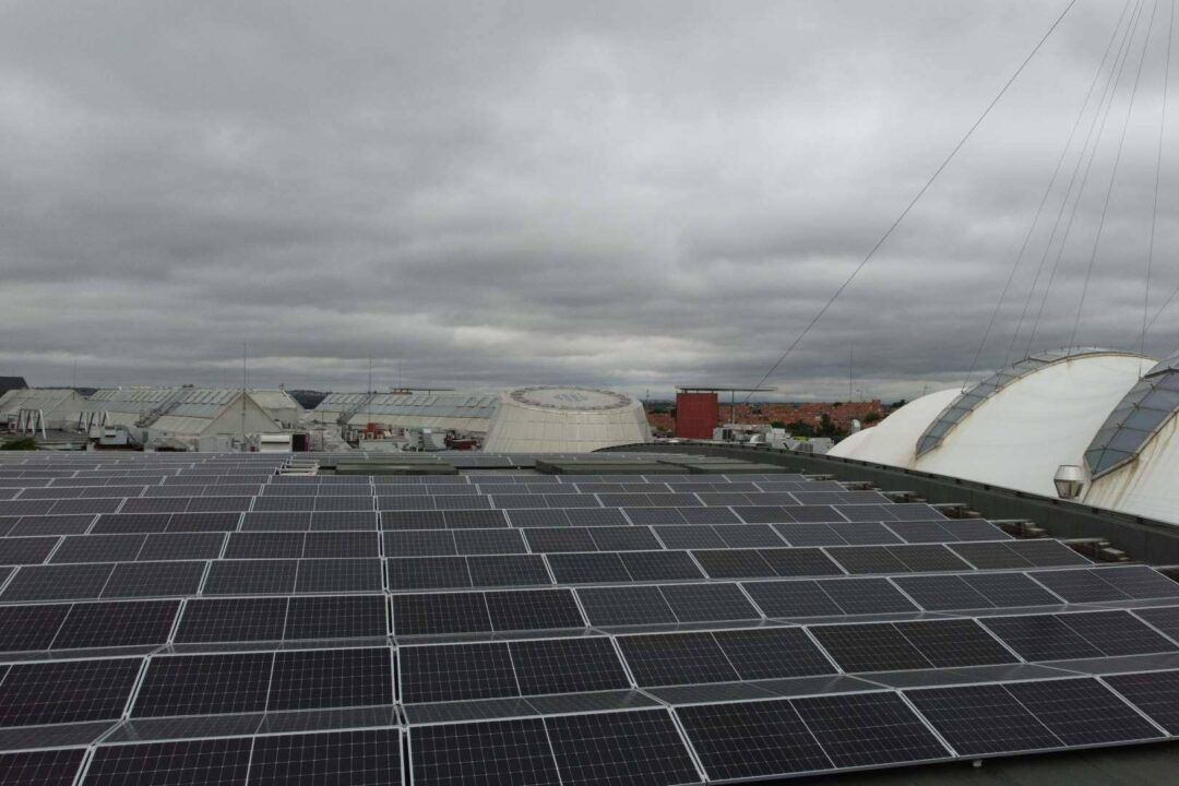 Fotovoltaica y eficiencia energética, soluciones de Ecogreen para España y Portugal