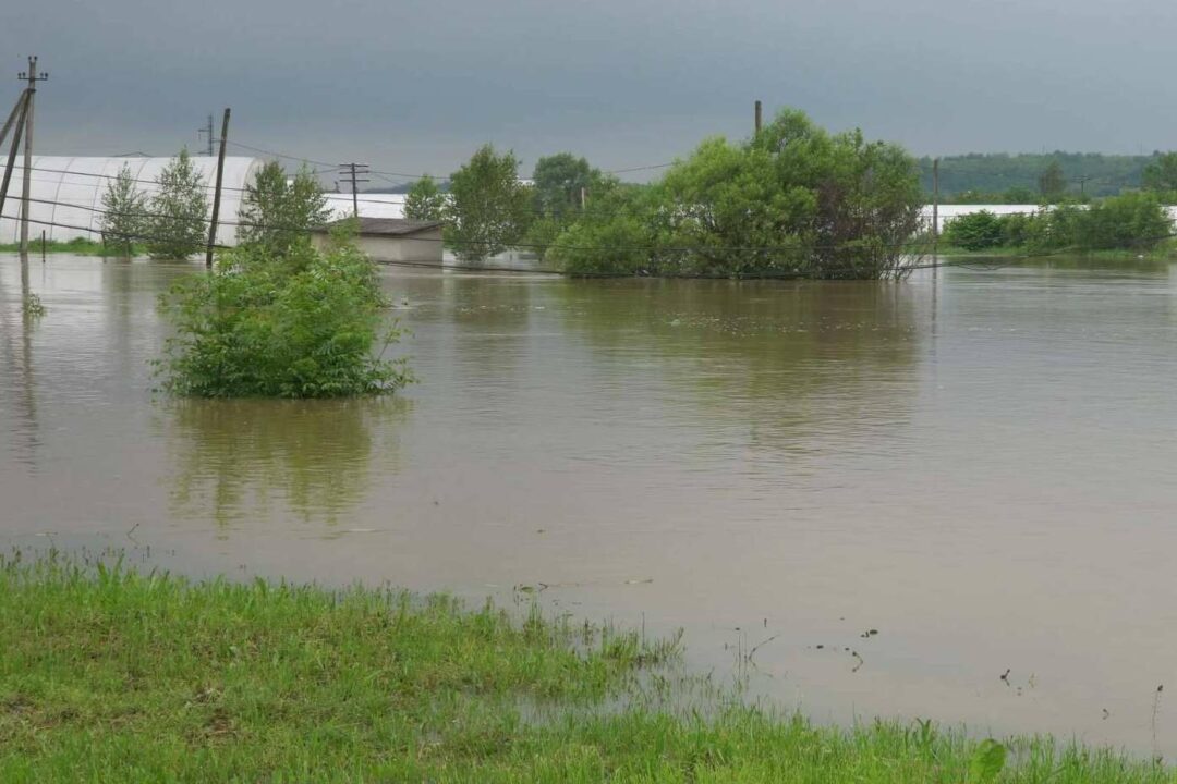 Sistemas de protección agrícola innovadores y sostenibles en Grupo SPAG