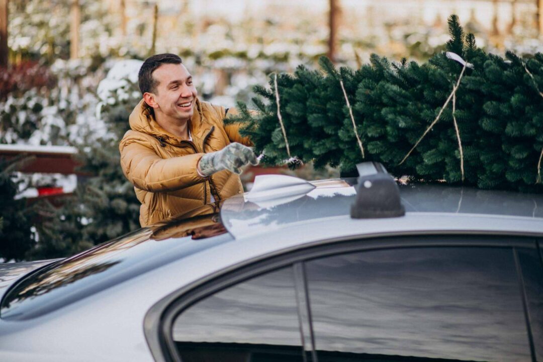 Consejos clave para garantizar la seguridad vial en Navidad y evitar accidentes