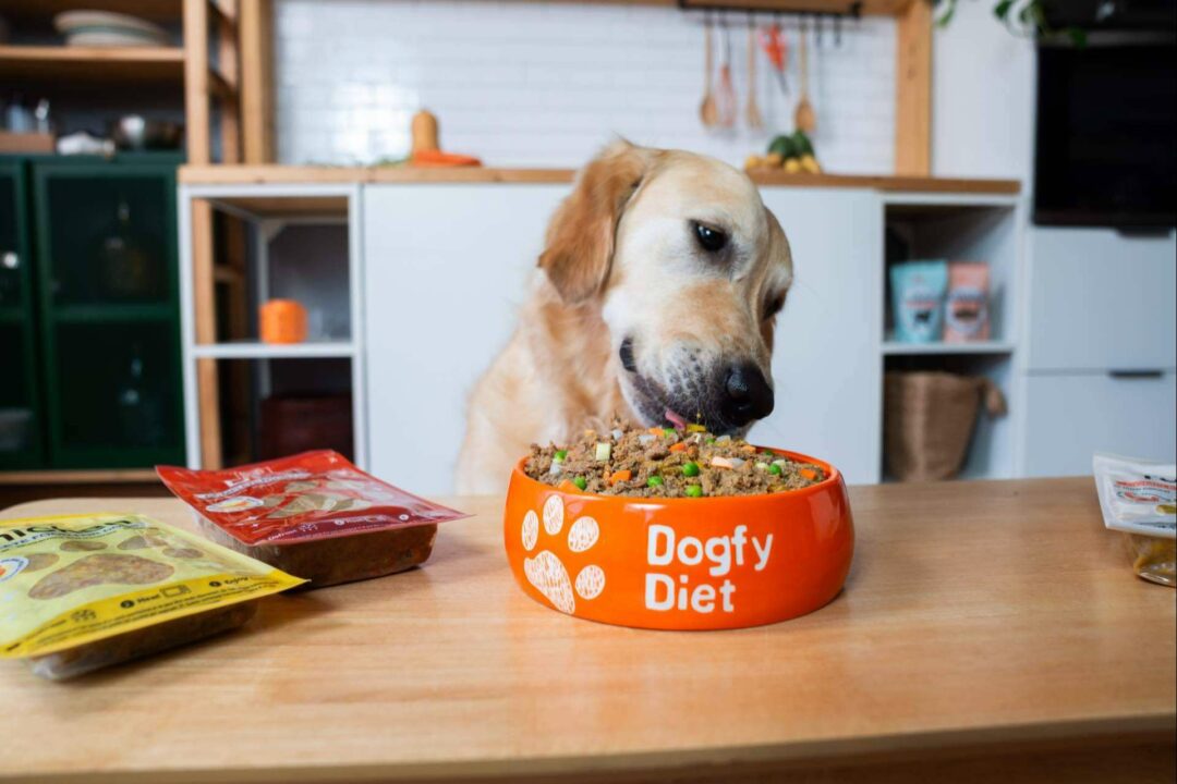 Dogfy Diet lidera la transformación hacia dietas naturales, sostenibles y personalizadas para perros