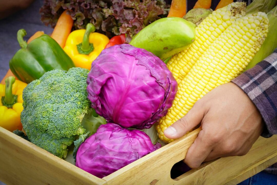 El Amazon de los Agricultores; JGCmarket Revoluciona el comercio justo y de proximidad