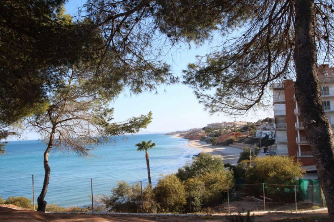 Del turismo a la residencia; ¿Por qué cada vez más extranjeros se mudan a la Costa Blanca?